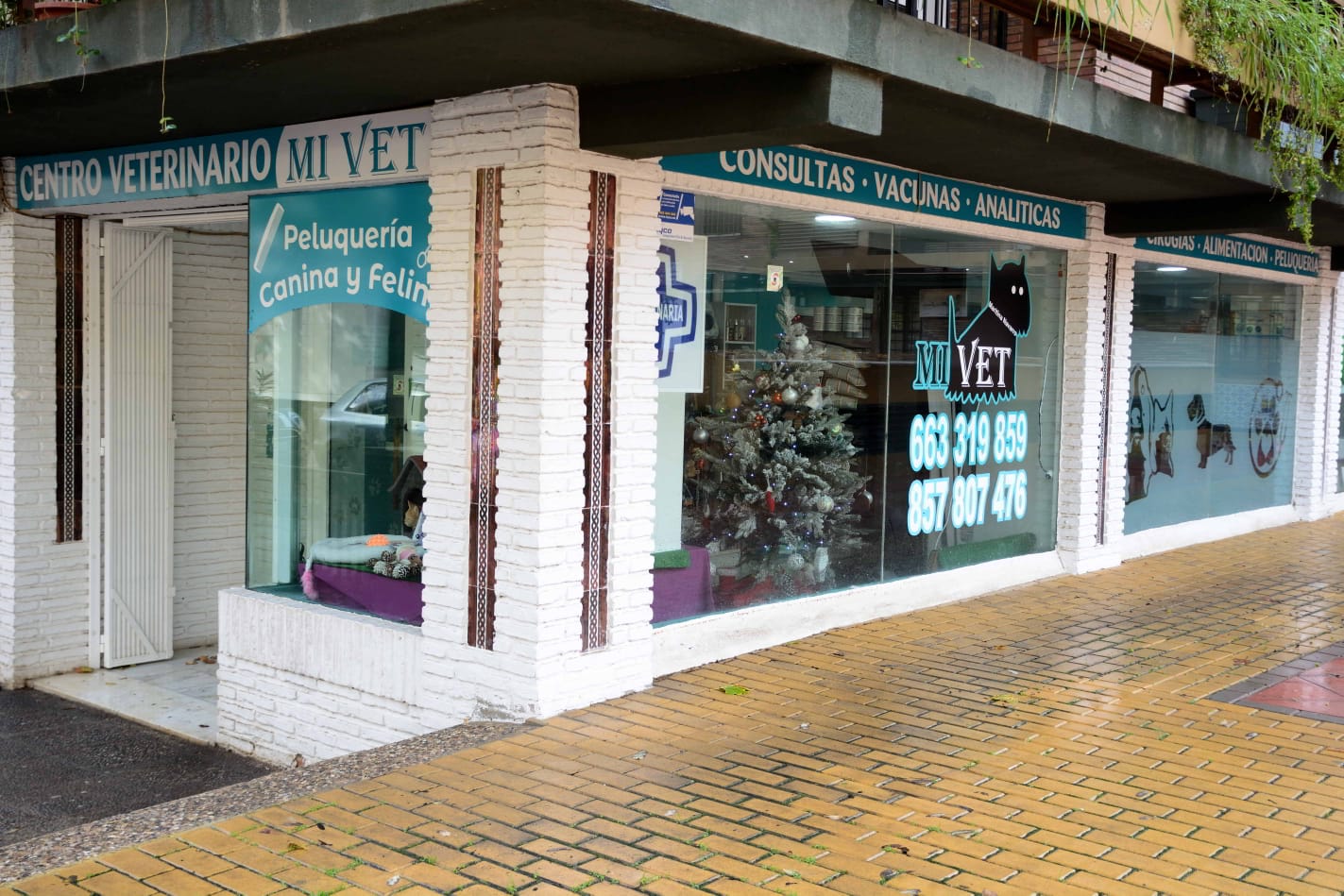 Seguros veterinarios - Cobertura de seguro para mascotas con principales aseguradoras